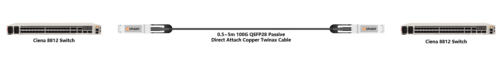 Ciena Switch links：100G QSFP28 to 100G QSFP28