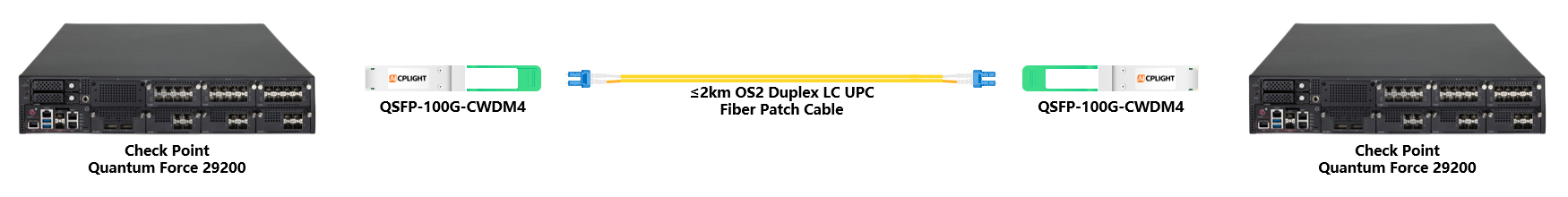 Check Point Switch links：100G QSFP28 to 100G QSFP28