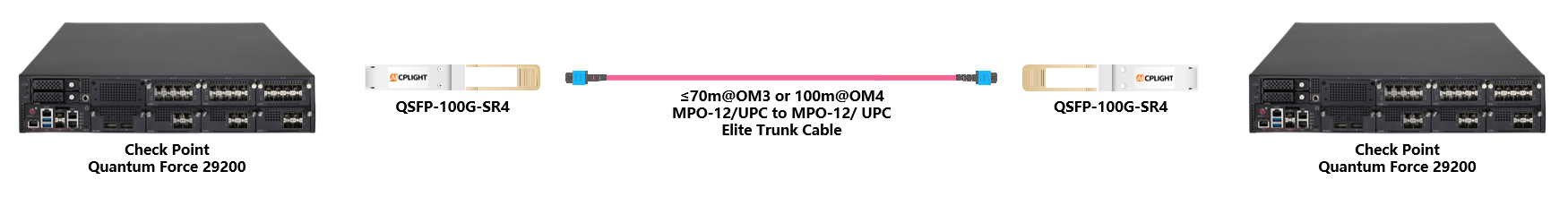 Check Point Switch links：100G QSFP28 to 100G QSFP28