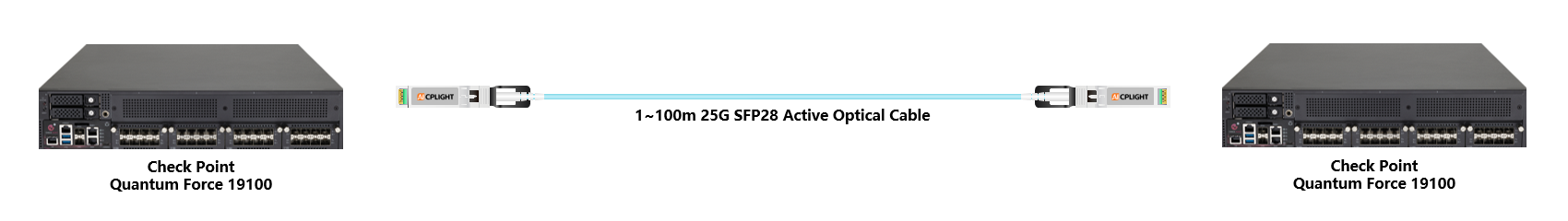 Check Point Switch links：25G To 25G