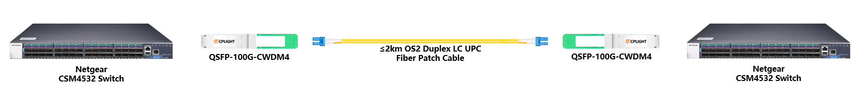 Netgear Switch links：100G QSFP28 to 100G QSFP28