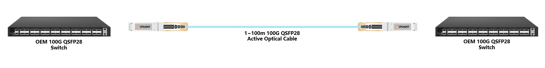 OEM Switch links：100G QSFP28 to 100G QSFP28