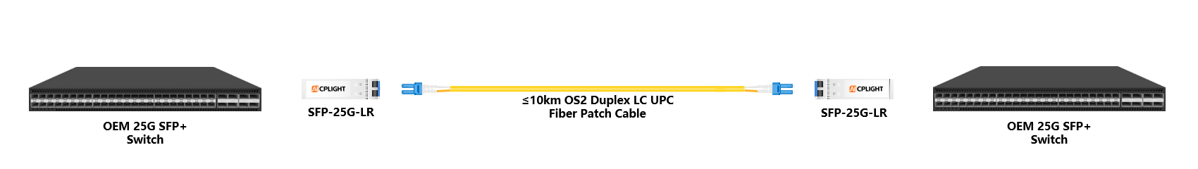 OEM Switch links：25G SFP28 to 25G SFP28