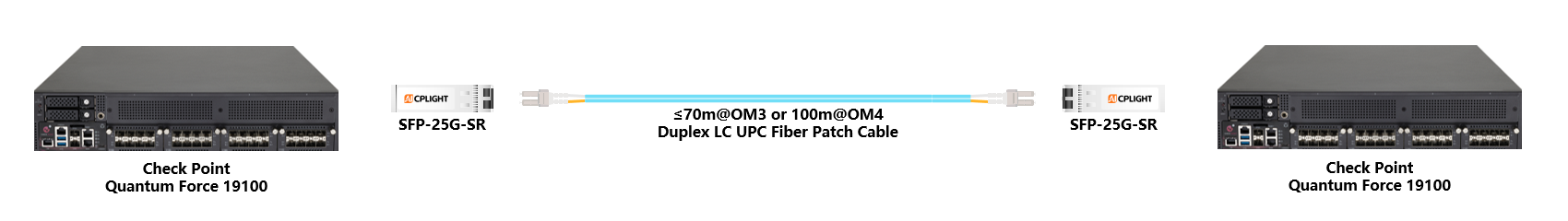 Check Point Switch links：25G SFP28 to 25G SFP28
