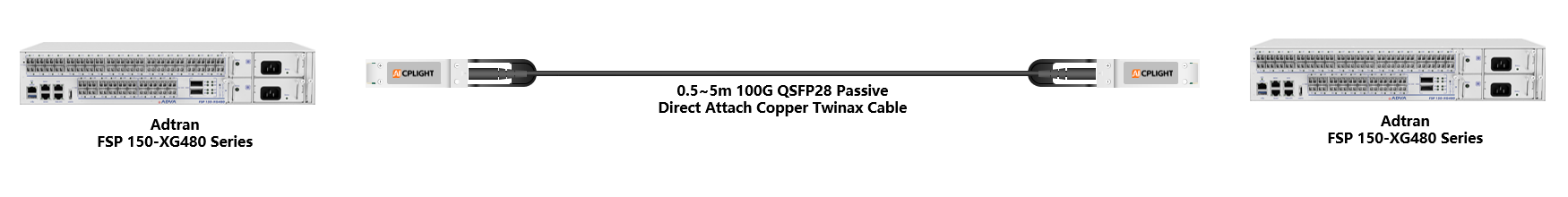 Adtran Device links：100G QSFP28 to 100G QSFP28