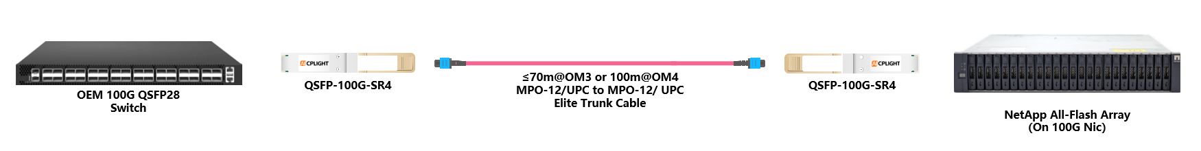 NetApp  Server to Switch links：100G QSFP28 to 100G QSFP28