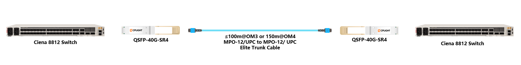 Ciena Switch links：40G QSFP+ to 40G QSFP+