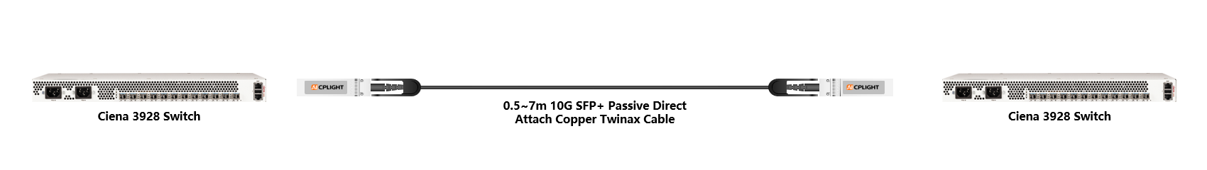 Ciena Switch links：10G  to 10G