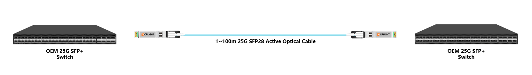 OEM Switch links：25G To 25G