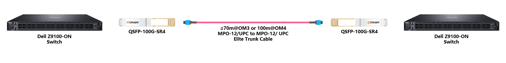Dell Switch links：100G QSFP28 to 100G QSFP28