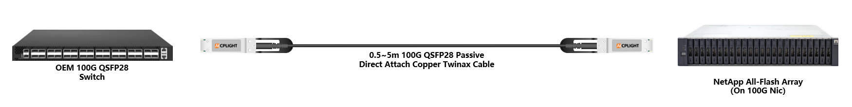 NetApp  Server to Switch links：100G QSFP28 to 100G QSFP28