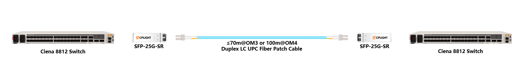 Ciena Switch links：25G SFP28 to 25G SFP28