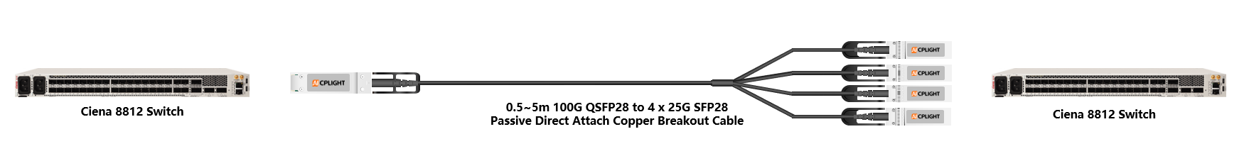 Ciena Switch links：100G QSFP28 to 4x 25G SFP28