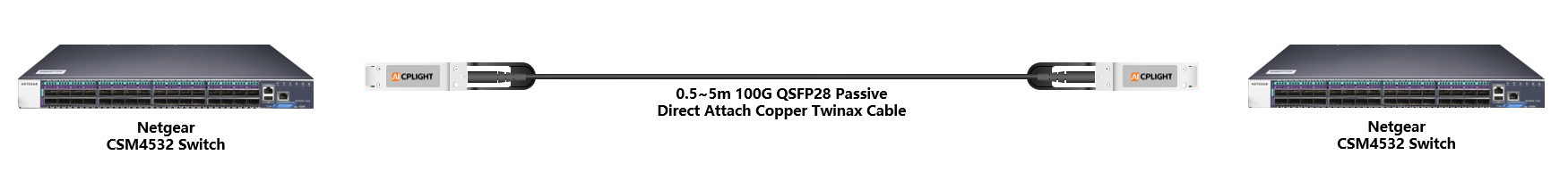 Netgear Switch links：100G QSFP28 to 100G QSFP28