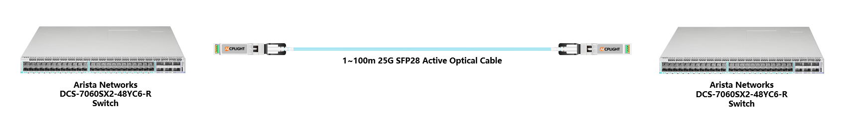 Arista Switch links：25G To 25G