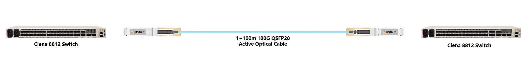 Ciena Switch links：100G QSFP28 to 100G QSFP28