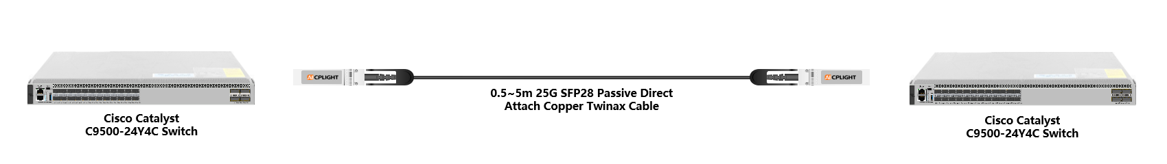 Cisco Catalyst Switch links：25G To 25G