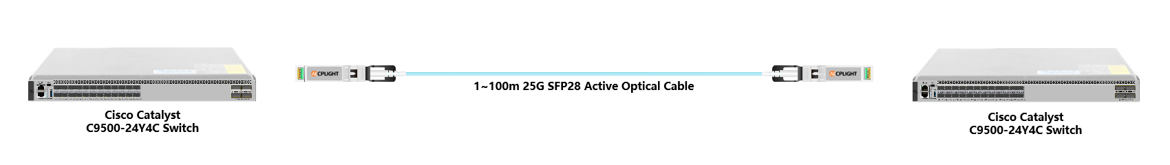 Cisco Catalyst Switch links：25G To 25G