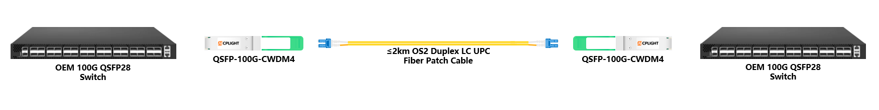 OEM Switch links：100G QSFP28 to 100G QSFP28