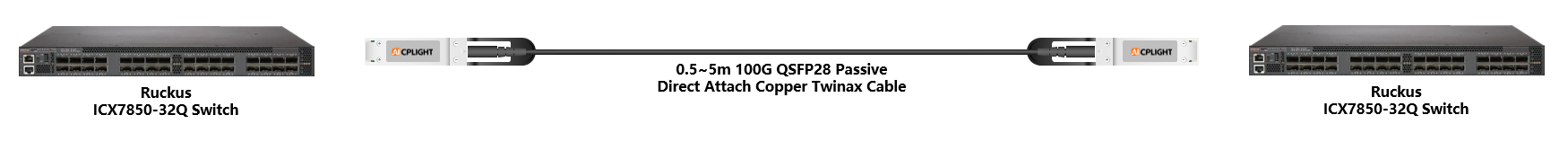 Ruckus ICX Switch links：100G QSFP28 to 100G QSFP28