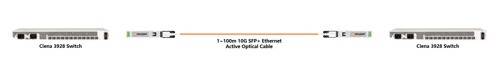 Ciena Switch links：10G  to 10G