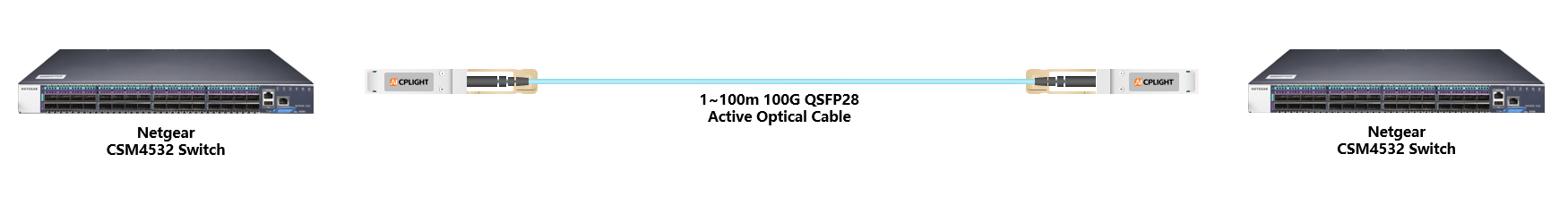 Netgear Switch links：100G QSFP28 to 100G QSFP28