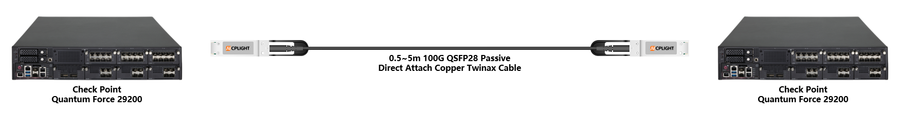 Check Point Switch links：100G QSFP28 to 100G QSFP28