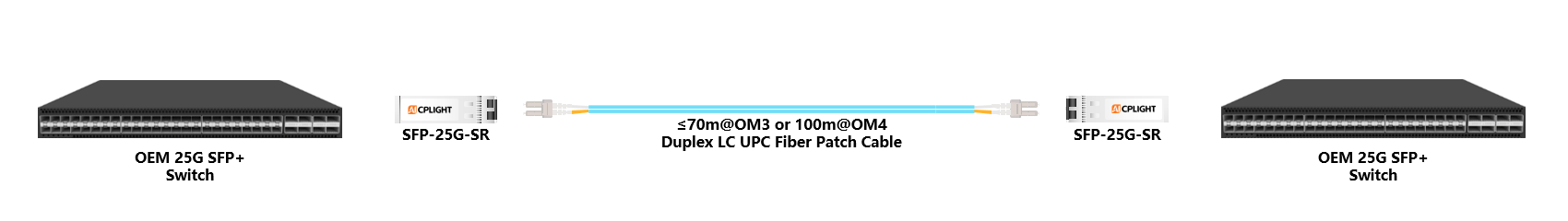 OEM Switch links：25G SFP28 to 25G SFP28