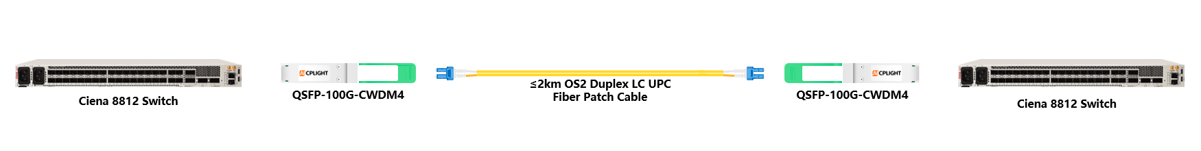 Ciena Switch links：100G QSFP28 to 100G QSFP28