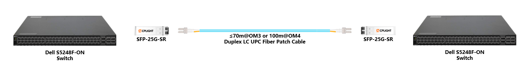 Dell Switch links：25G SFP28 to 25G SFP28
