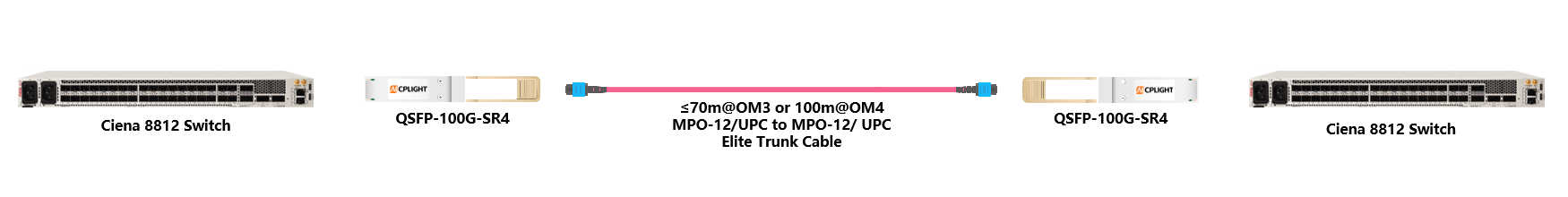 Ciena Switch links：100G QSFP28 to 100G QSFP28