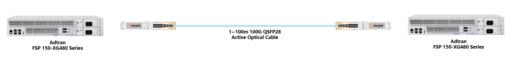 Adtran Device links：100G QSFP28 to 100G QSFP28