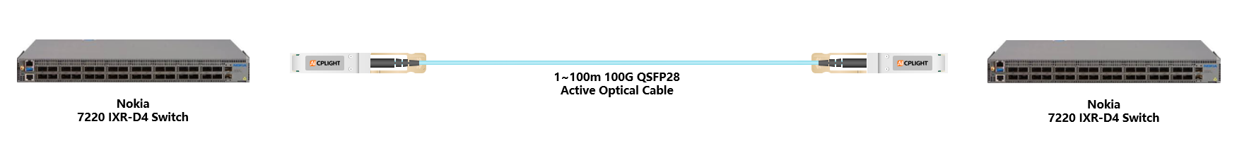 Nokia Switch  links：100G QSFP28 to 100G QSFP28