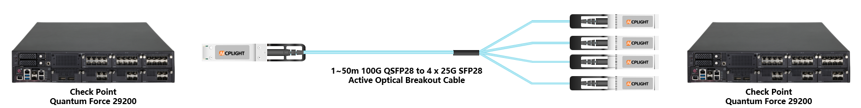 Check Point Switch links：100G QSFP28 to 4x 25G SFP28