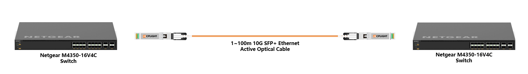 Netgear Switch links：10G  to 10G