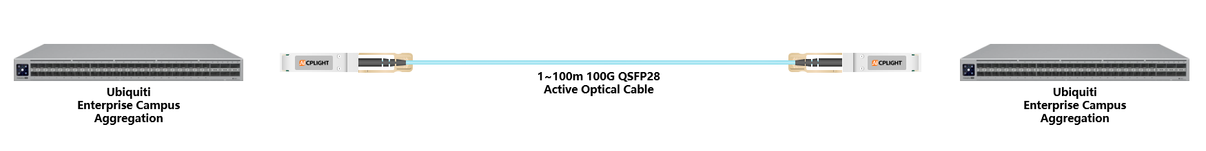 Ubiquiti  Switch links：100G QSFP28 to 100G QSFP28