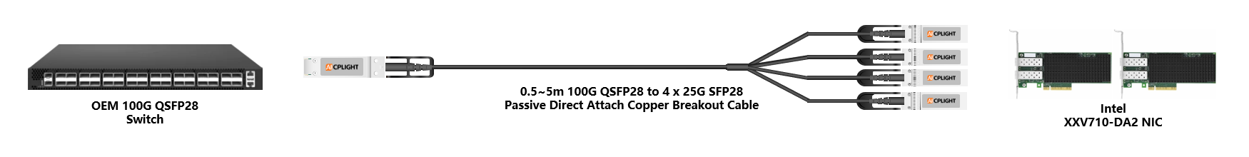 Intel NIC to Switch links：100G QSFP28 to 4x 25G SFP28