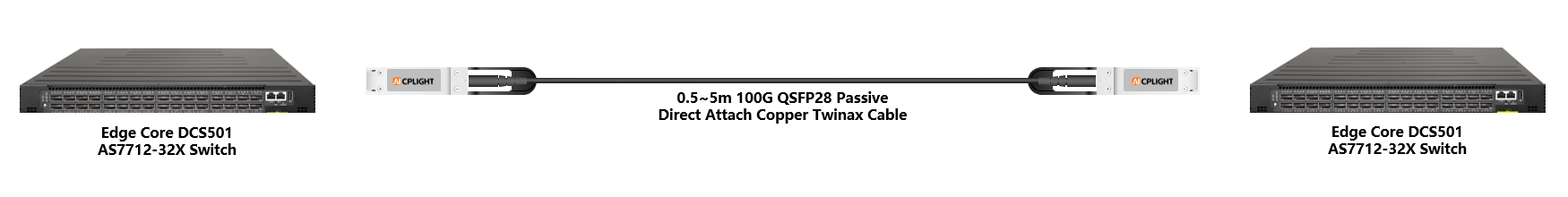 Edge Core links：100G QSFP28 to 100G QSFP28