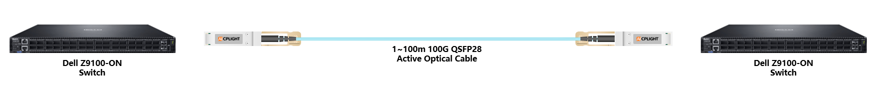 Dell Switch links：100G QSFP28 to 100G QSFP28