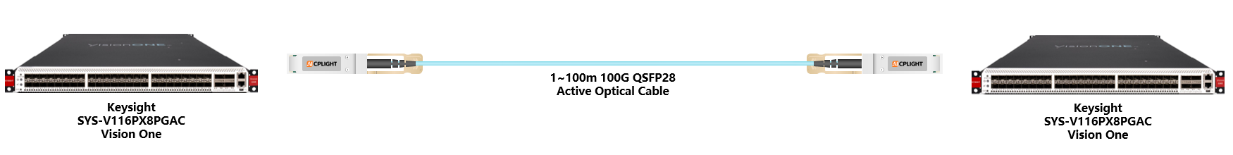 Keysight Network Packet Brokers links：100G QSFP28 to 100G QSFP28