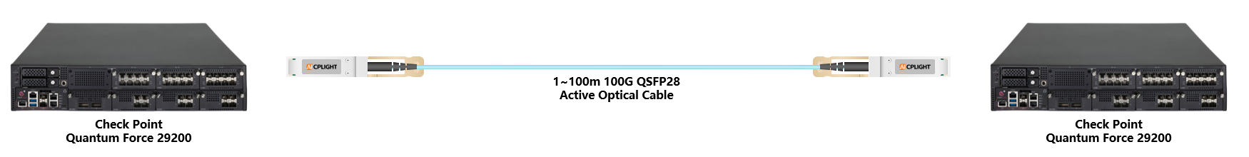 Check Point Switch links：100G QSFP28 to 100G QSFP28