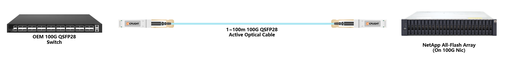 NetApp  Server to Switch links：100G QSFP28 to 100G QSFP28