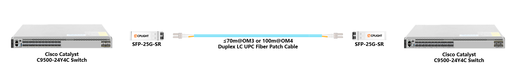 Cisco Catalyst Switch links：25G SFP28 to 25G SFP28
