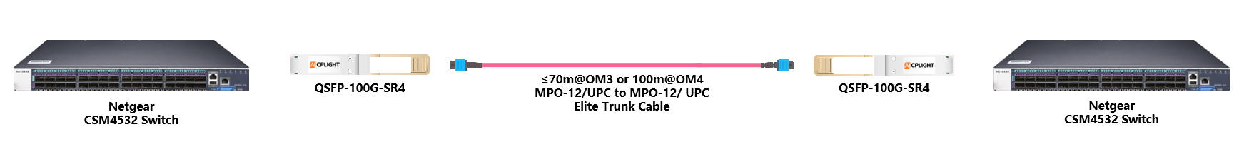 Netgear Switch links：100G QSFP28 to 100G QSFP28
