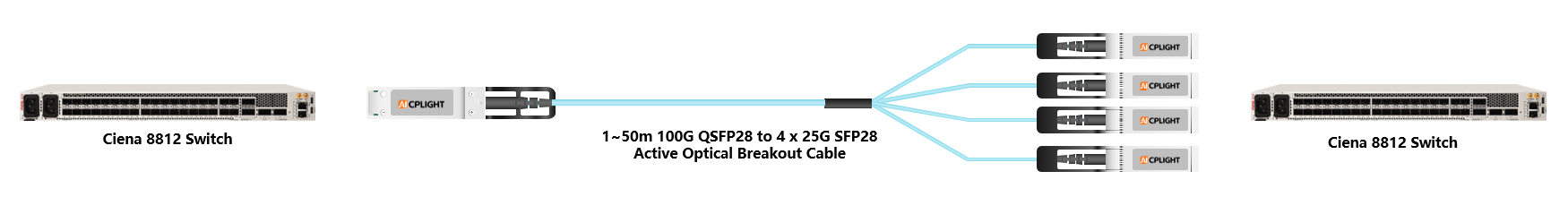 Ciena Switch links：100G QSFP28 to 4x 25G SFP28