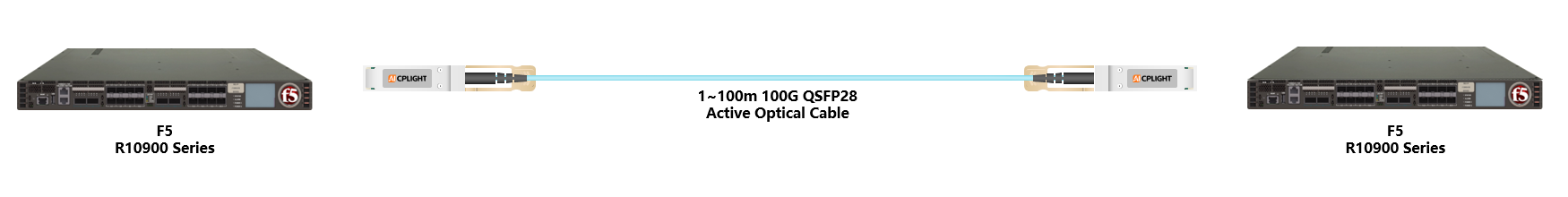 F5 Serise links：100G QSFP28 to 100G QSFP28
