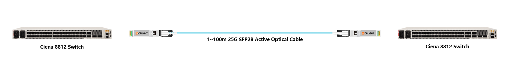 Ciena Switch links：25G To 25G