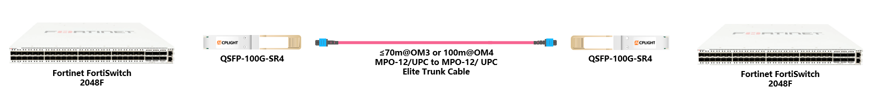 Fortinet FortiSwitch  links：100G QSFP28 to 100G QSFP28