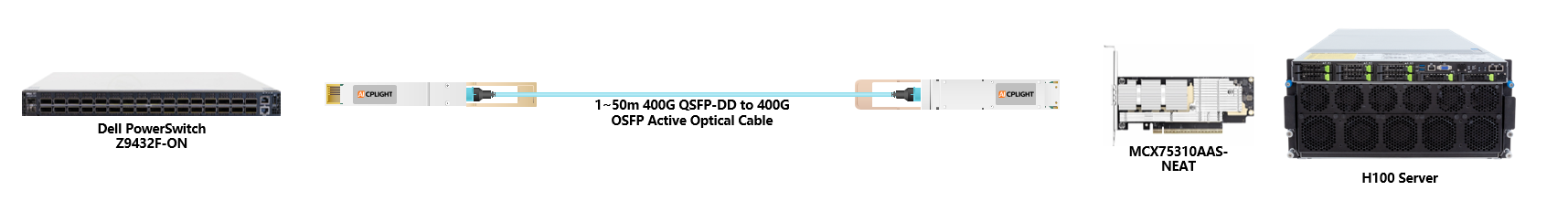 Dell Switch links：400G QSFP-DD to 400G OSFP