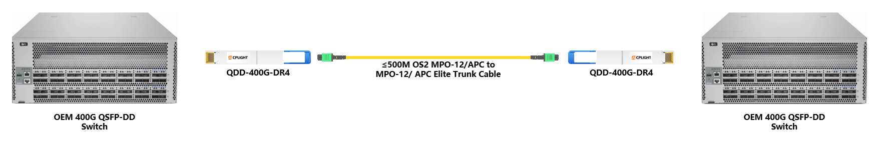 OEM Switch links：400G QSFP-DD to 400G QSFP-DD